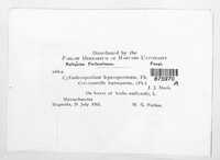 Image Associated With the Occurence